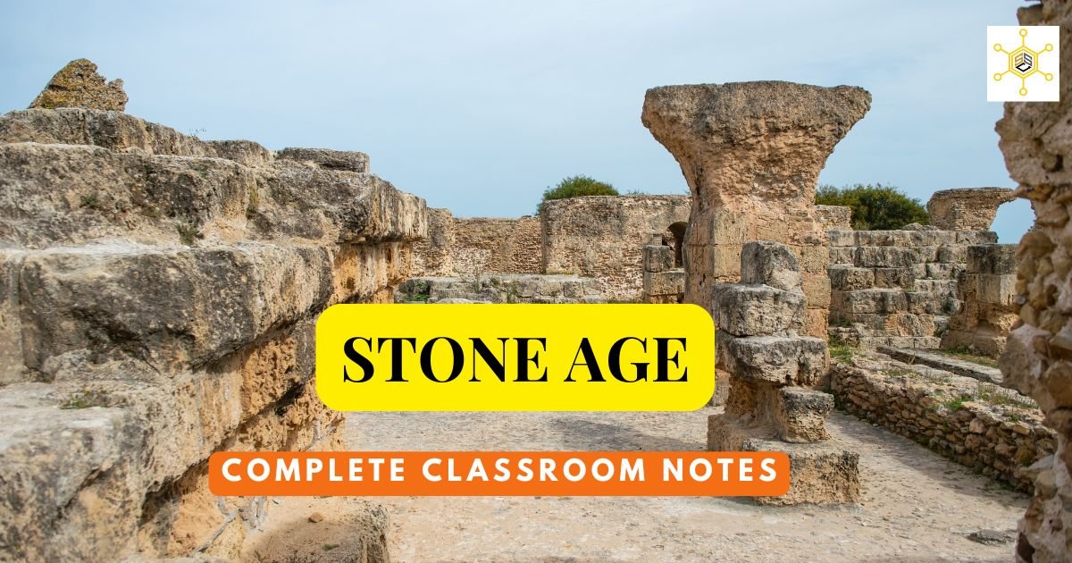 Stone Age ( Ancient History ) Notes in English